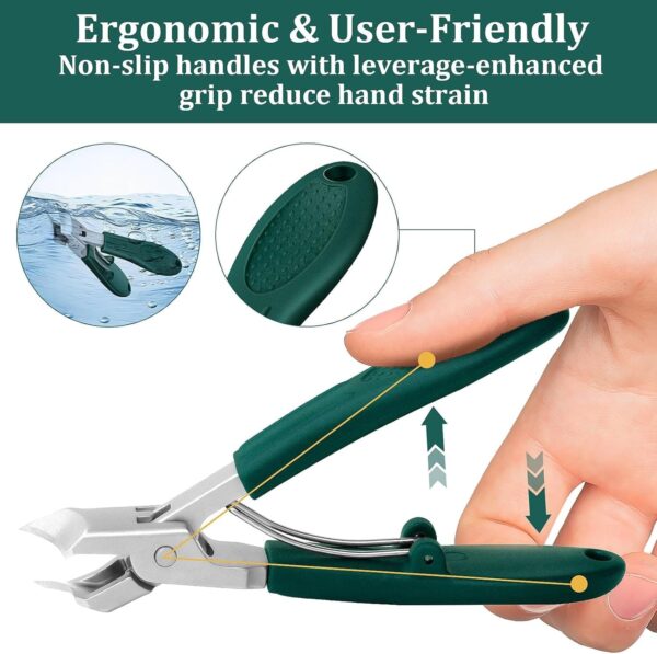 Eagle Beak Beveled Nail Clippers