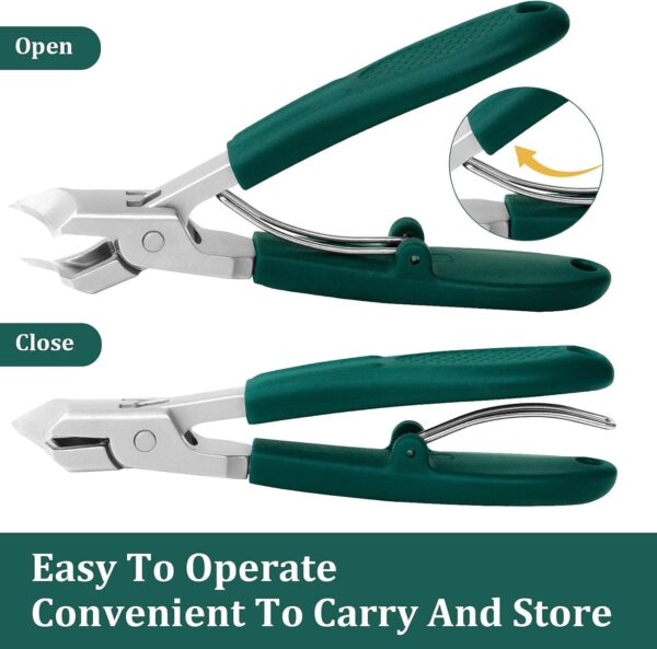 Eagle Beak Beveled Nail Clippers