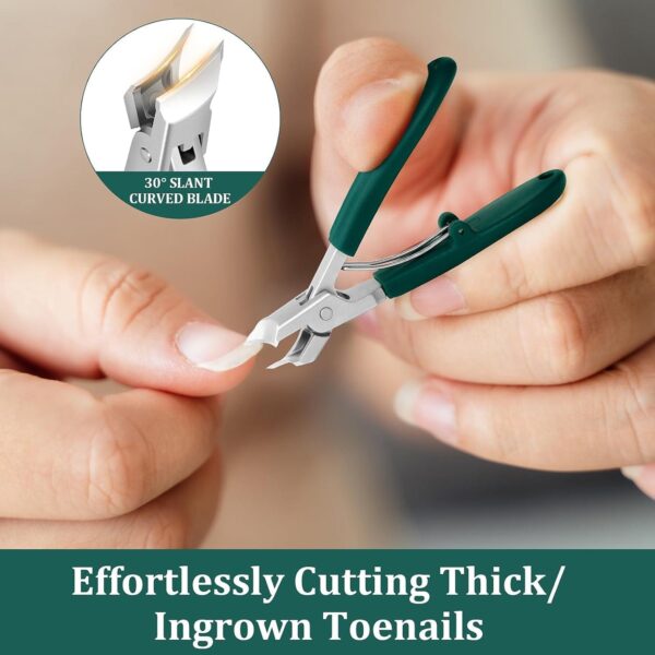 Eagle Beak Beveled Nail Clippers